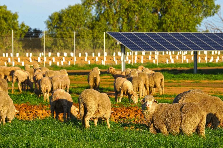 Learn - Western Downs Green Power Hub